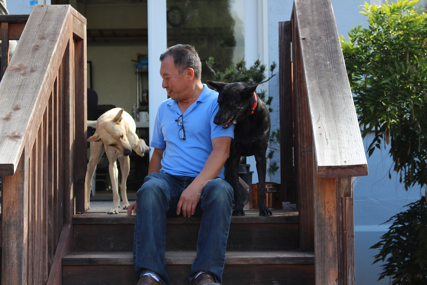 Boon and his dogs