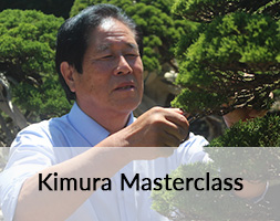 Kimura Masterclass