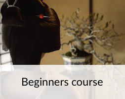 Bonsai Beginners Course