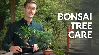 Care and maintenance for Bonsai video