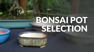 Pot selection for Bonsai video
