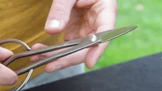Bonsai tools video