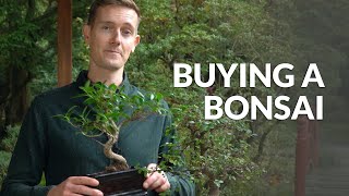 Purchasing a Bonsai video